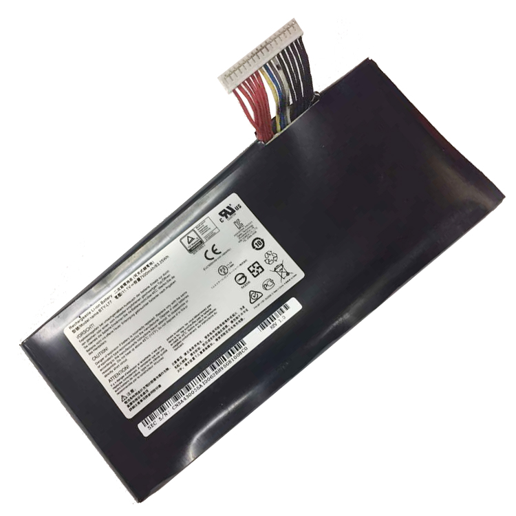 MSI GT72 2PE-022CN battery