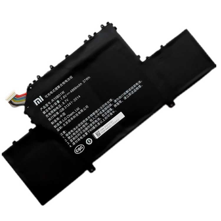 R10B01W battery