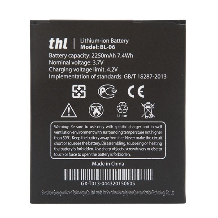 T6S battery
